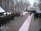 Општина Топола